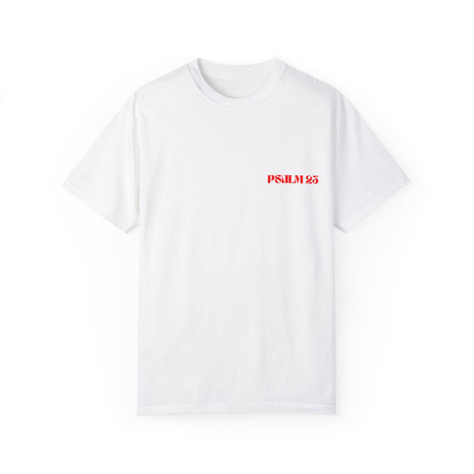 The Lambs 2 - Psalm 23 Unisex T-Shirt - Faith & Comfort